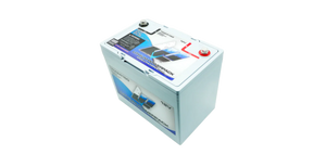 Battery with a label on a white background
