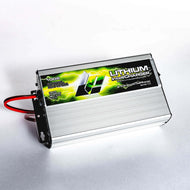 Lithium Pros 16V Lithium-ion Batteries